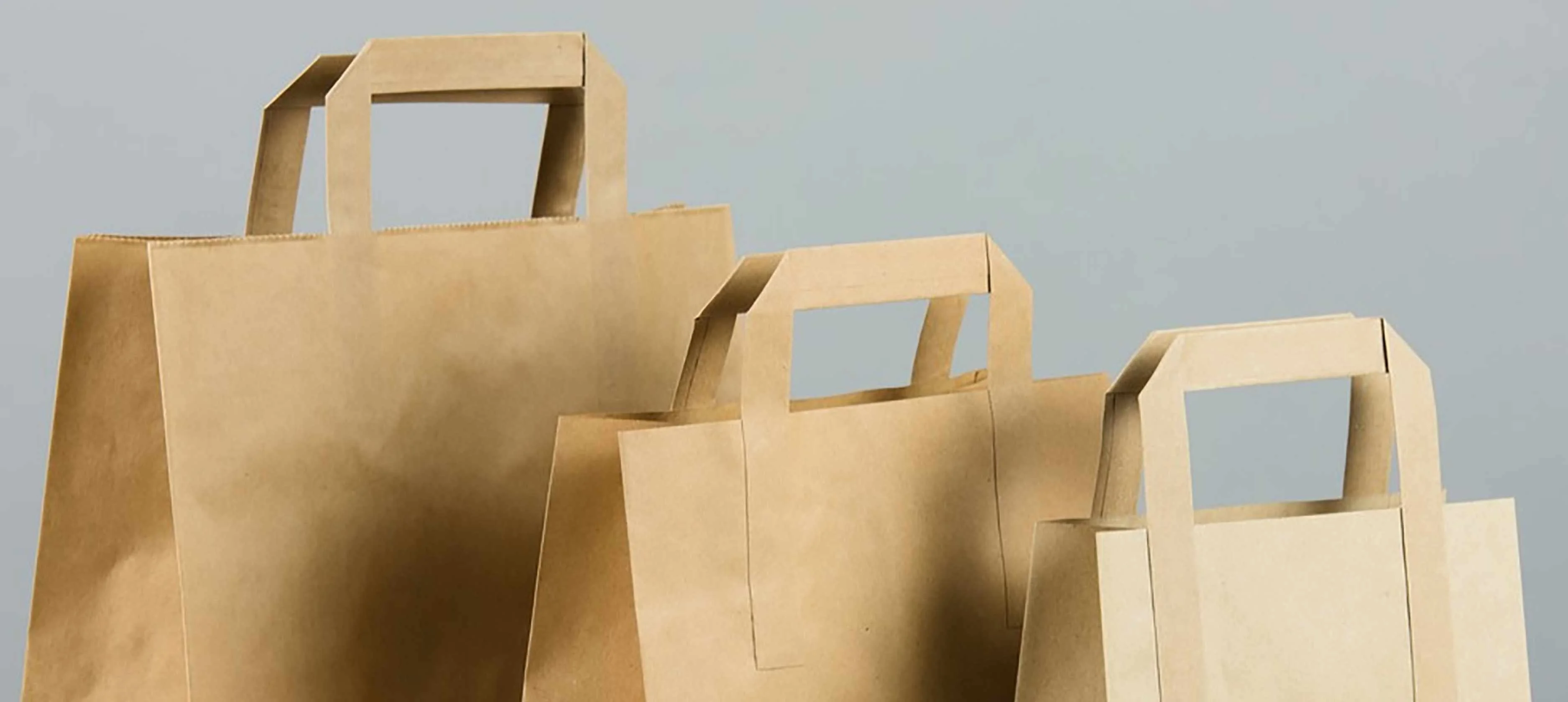 printed-paper-bags-packaging - Custom Boxes Only