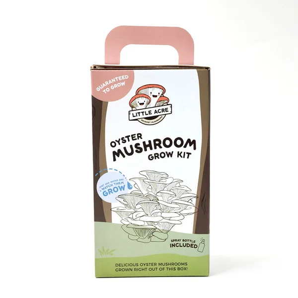 custom-mushroom-boxes