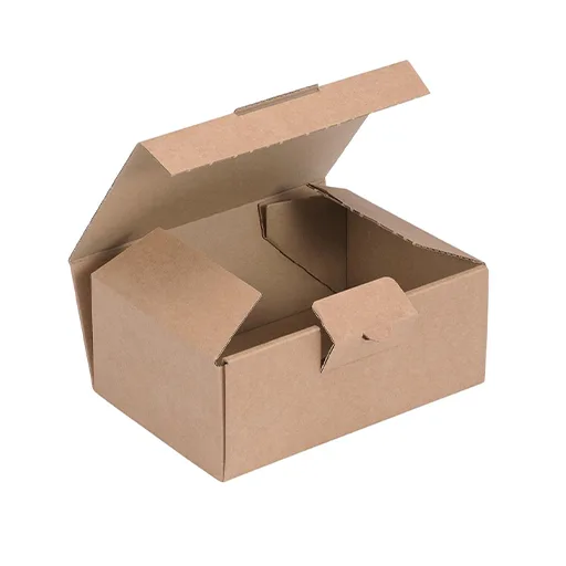 1722338070.1696947664..ear-care-packaging.webp