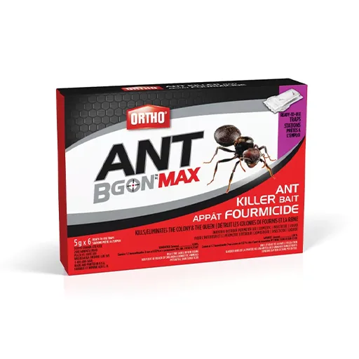 1706879433.ant-baits-boxes.webp