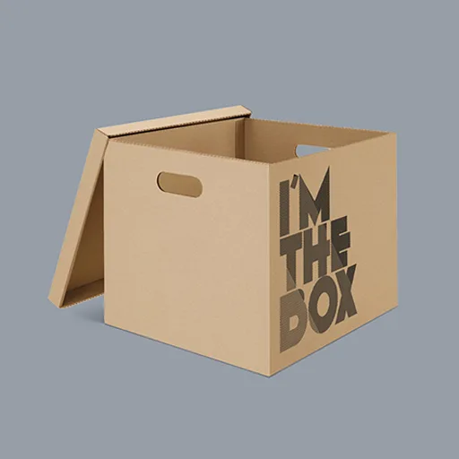 1697051206.archive-boxes.webp